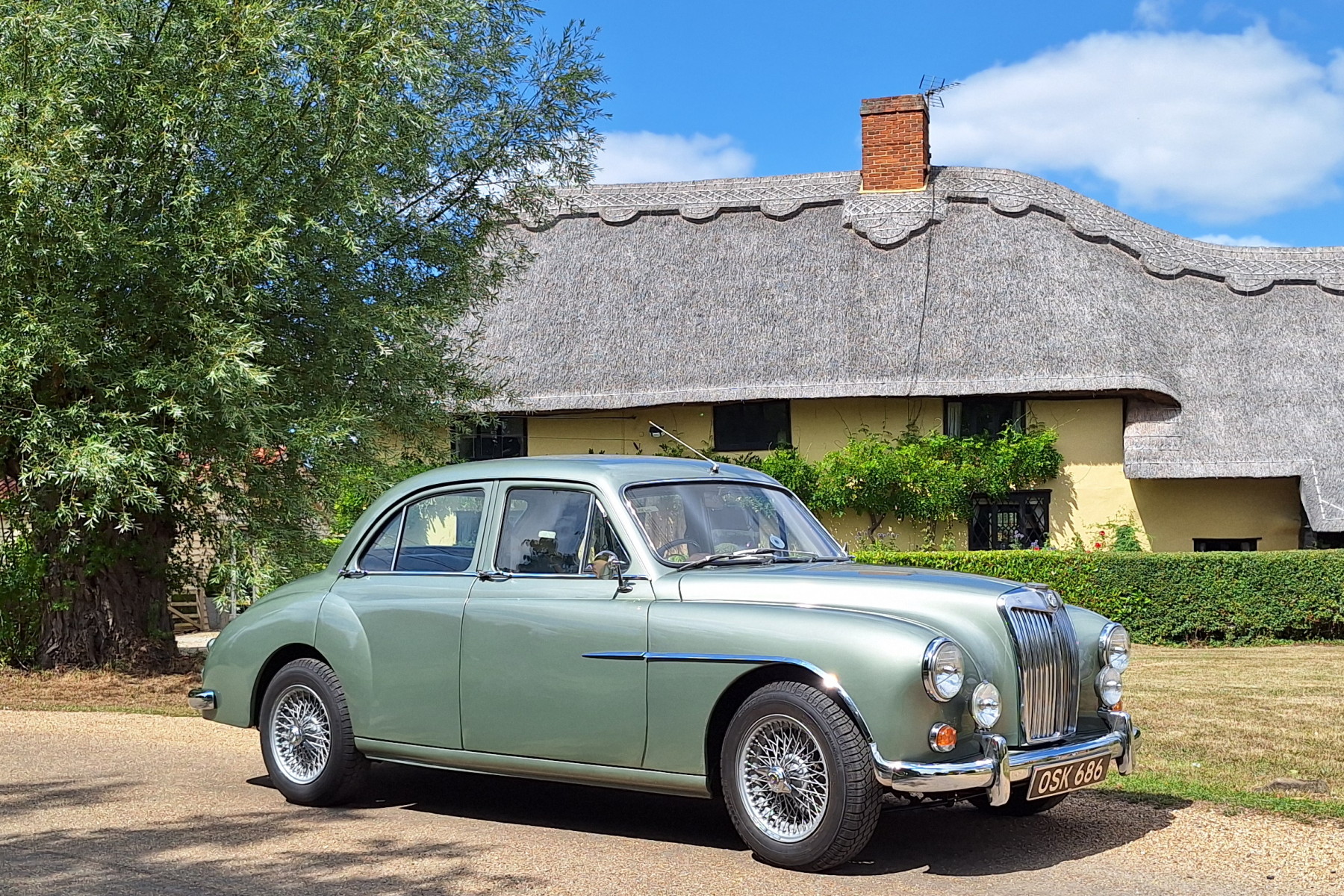 Magnette